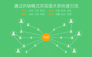 【网站建设】垂直分销渠道模式有哪些？
