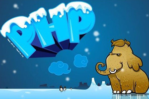 PHP的函数的定义和调用