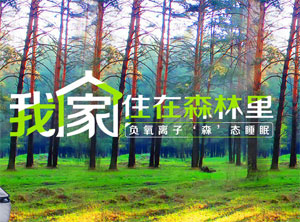 【签约】深圳市玺堡家居有限公司网站建设