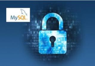 如何生成和执行mysql数据库脚本？